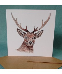 Stag Card Stag Card